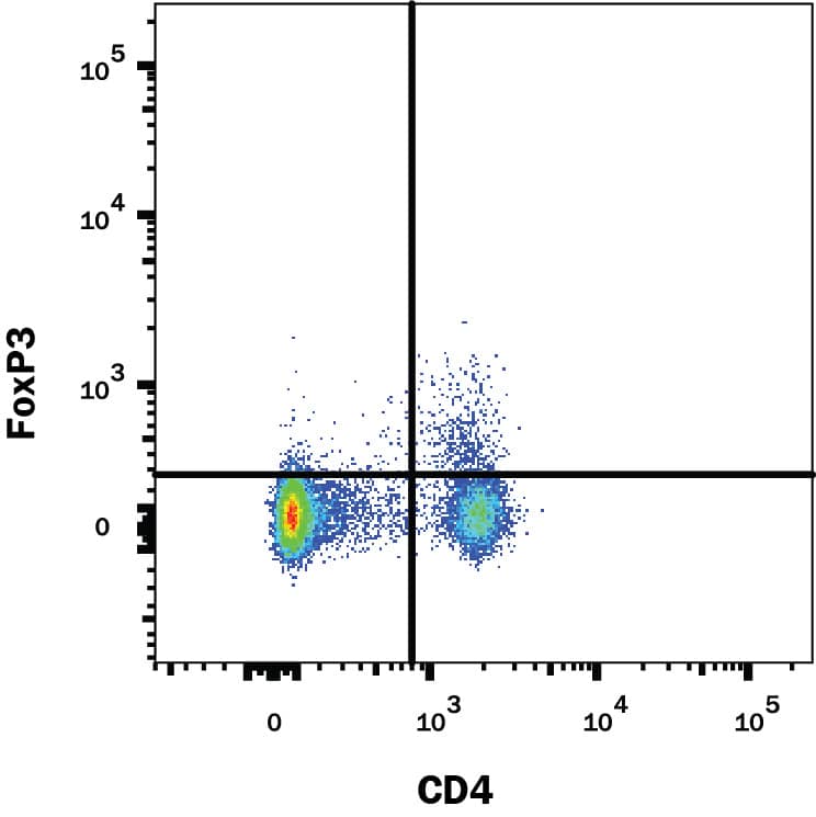 Detection of FoxP3 antibody in Rat Splenocytes antibody by Flow Cytometry.