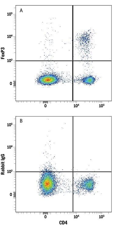 Detection of FoxP3 antibody in Mouse Splenocytes antibody by Flow Cytometry.