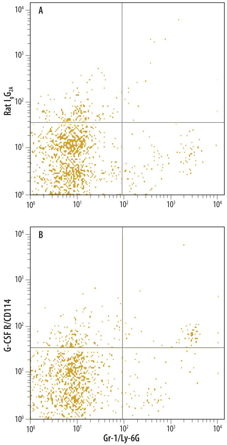 Detection of G-CSF R/CD114 antibody in Mouse splenocytes antibody by Flow Cytometry.
