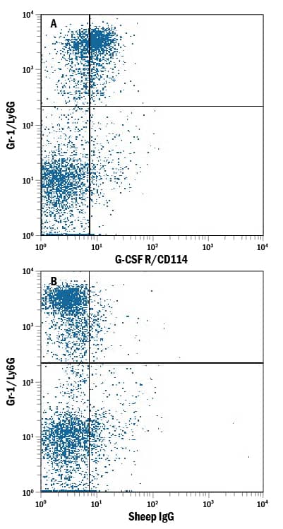 Detection of G‑CSF R/CD114 in Mouse Bone Marrow by Flow Cytometry. Detection of G-CSF R/CD114 antibody in Mouse Bone Marrow antibody by Flow Cytometry.