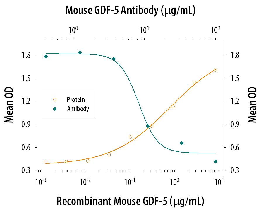 Alkaline Phosphatase Production Induced by GDF-5 and Neutralization by Mouse GDF-5 Antibody.