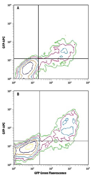 Detection of GFP antibody in HEK293 Human Cell Line Transfected with GFP antibody by Flow Cytometry.