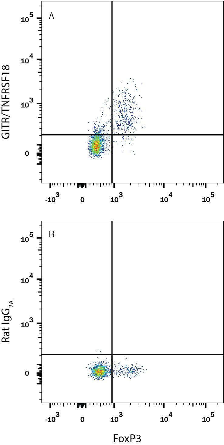 Detection of GITR/TNFRSF18 antibody in Mouse Splenocytes Stimulated to Induce Tregs antibody by Flow Cytometry.