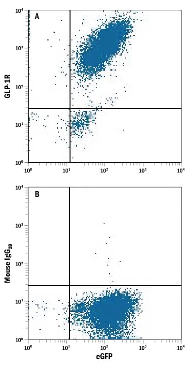 Detection of GLP-1R antibody in HEK293 Human Cell Line Transfected with Human GLP-1R and eGFP antibody by Flow Cytometry.