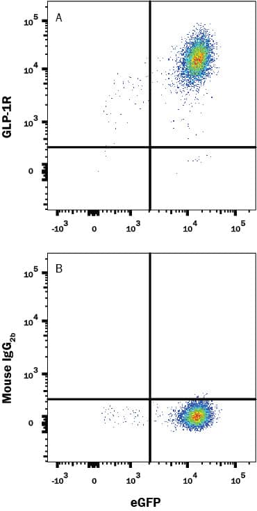 Detection of GLP-1R antibody in HEK293 Human Cell Line Transfected with Human GLP-1R and eGFP antibody by Flow Cytometry.