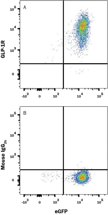 Detection of GLP-1R antibody in HEK293 Human Cell Line Transfected with Human GLP-1R and eGFP antibody by Flow Cytometry.