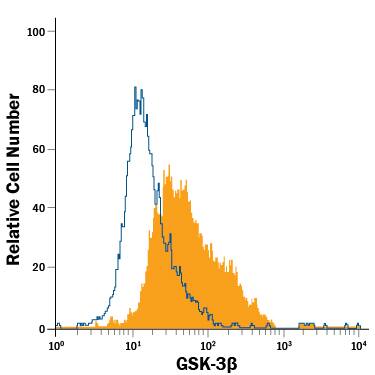 Detection of GSK-3 beta antibody in HeLa Human Cell Line antibody by Flow Cytometry.