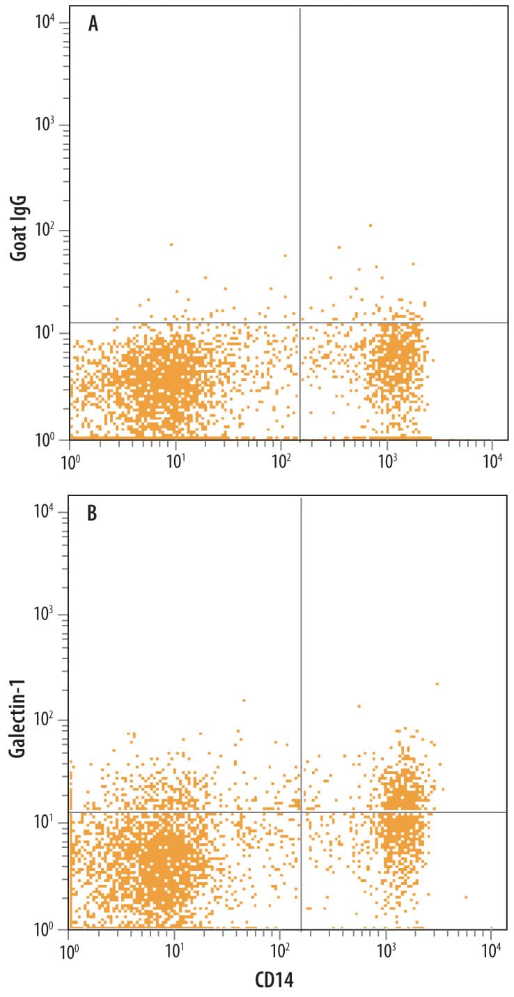 Detection of Galectin-1 antibody in Human Blood Monocytes antibody by Flow Cytometry.
