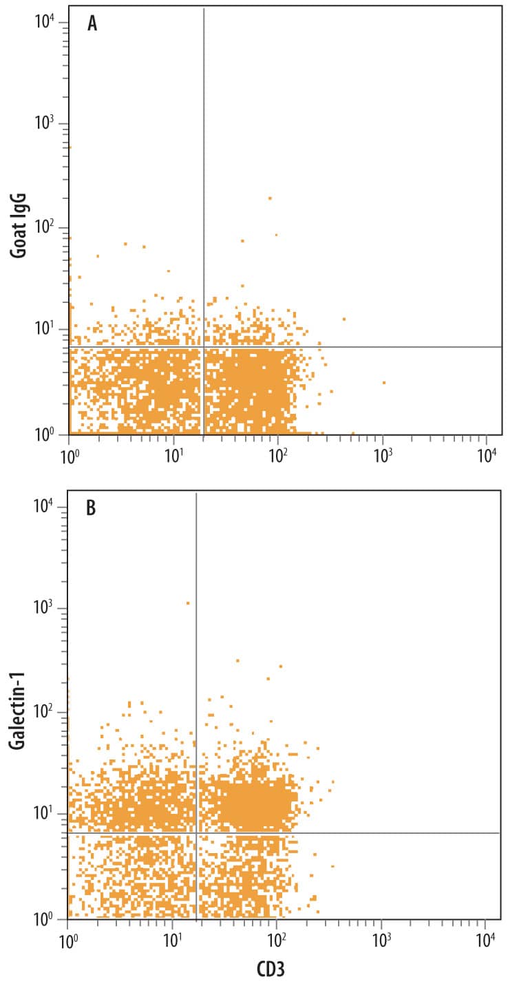 Detection of Galectin-1 antibody in Mouse Splenocytes antibody by Flow Cytometry.