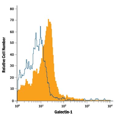 Detection of Galectin-1 antibody in Mouse Splenocytes antibody by Flow Cytometry.