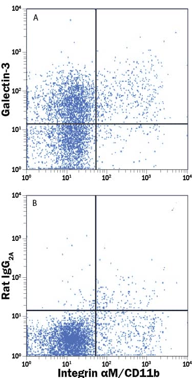 Detection of Galectin-3 antibody in Mouse Splenocytes antibody by Flow Cytometry.