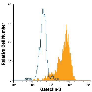 Detection of Galectin-3 antibody in PBMC monocytes antibody by Flow Cytometry.