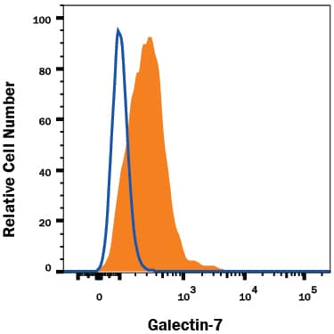 Detection of Galectin-7 antibody in A431 Human Cell Line antibody by Flow Cytometry.