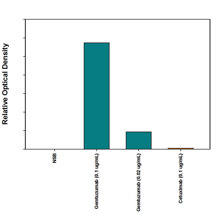 Anti-Gemtuzumab Bridging Assay.