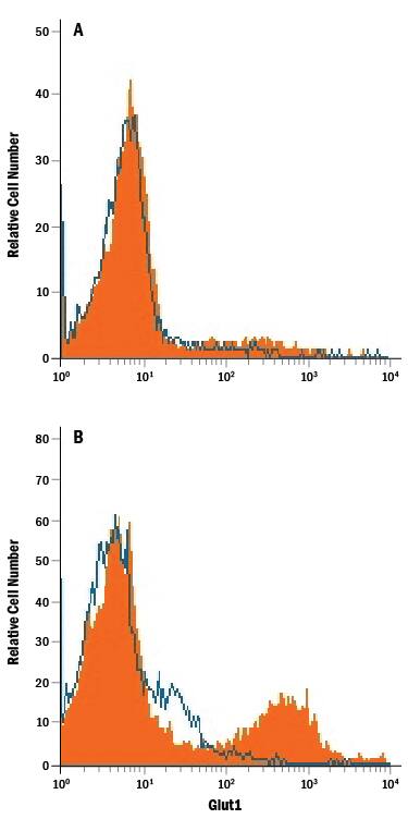 Detection of Glut1 antibody in Jurkat Human Cell Line antibody by Flow Cytometry.