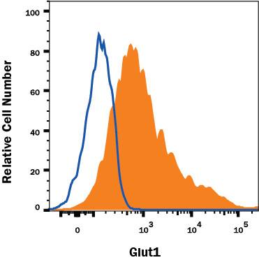 Detection of Glut1 antibody in HepG2 Human Cell Line antibody by Flow Cytometry.