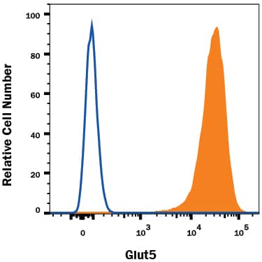 Detection of Glut5 antibody in NS0 Mouse Cell Line Transfected with Human Glut5 antibody by Flow Cytometry.