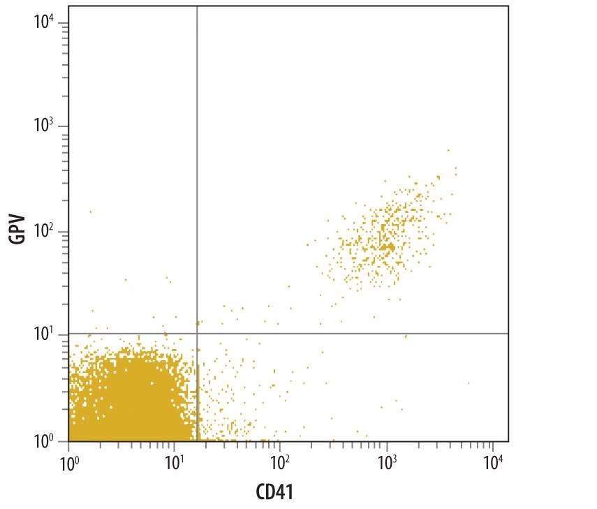 Detection of Human GPV antibody in Human Whole Blood Platelets antibody by Flow Cytometry.