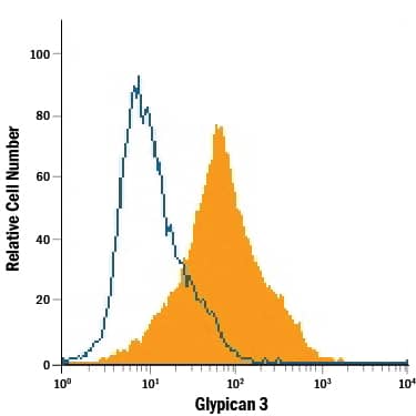 Detection of Glypican 3 antibody in HepG2 Human Cell Line antibody by Flow Cytometry.