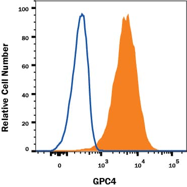 Detection of Glypican 4 antibody in Human TF-1 Cell Line antibody by Flow Cytometry.