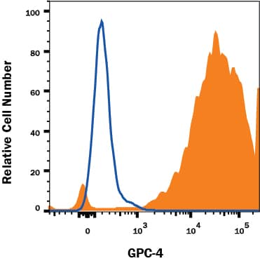 Detection of Glypican 4 antibody in Human BG01V Cells antibody by Flow Cytometry.