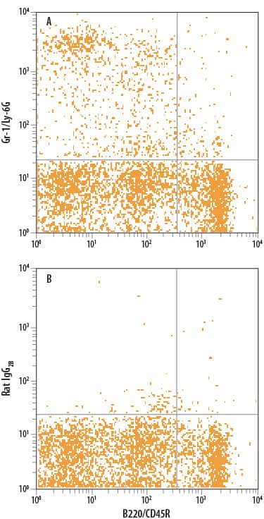 Detection of Gr-1/Ly-6G antibody in B220-Mouse Splenocytes antibody by Flow Cytometry.