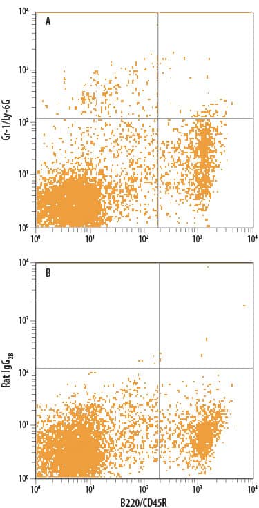 Detection of Gr-1/Ly-6G antibody in Mouse Splenocytes antibody by Flow Cytometry.