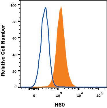 Detection of H60 antibody in RAW 264.7 Mouse Cell Line antibody by Flow Cytometry.