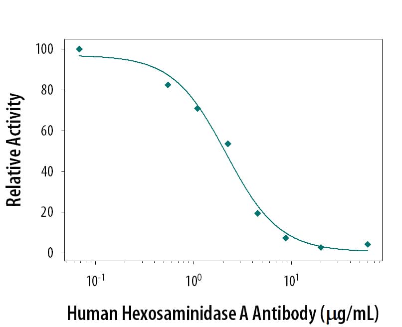 Neutralization of Human Hexosaminidase A Activity by Human Hexosaminidase A Antibody.