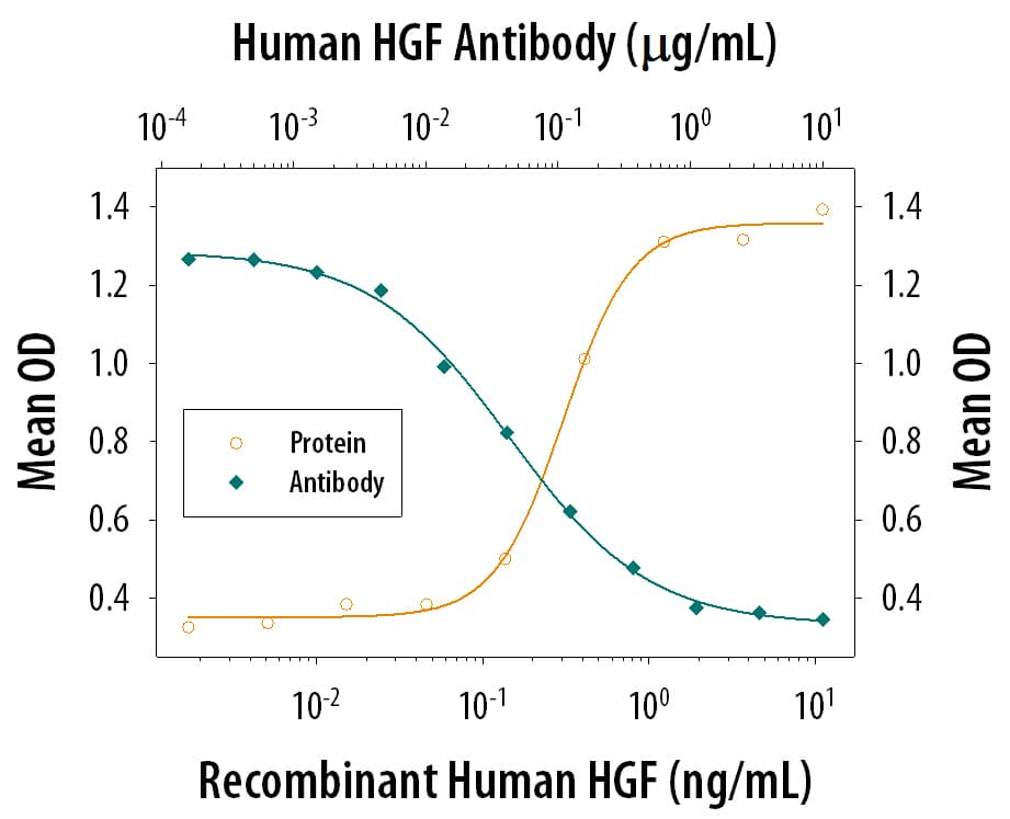 IL-11 Secretion Induced by HGF and Neutralization by Human HGF Antibody.