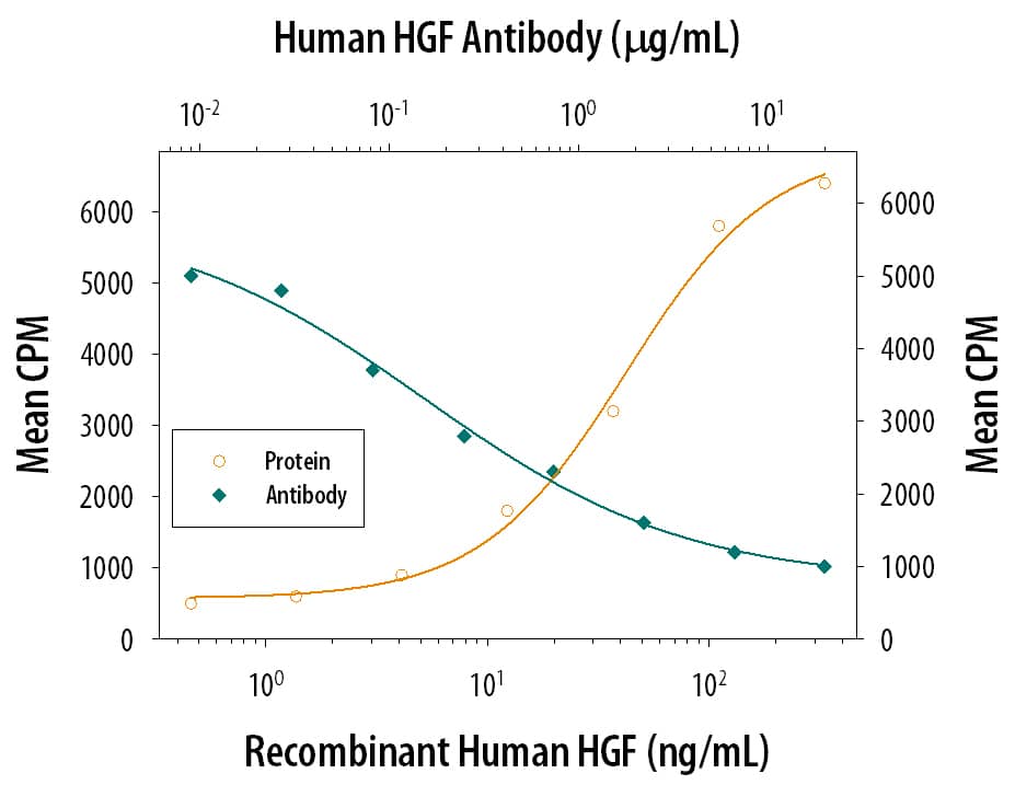 Cell Proliferation Induced by HGF and Neutralization by Human HGF Antibody.