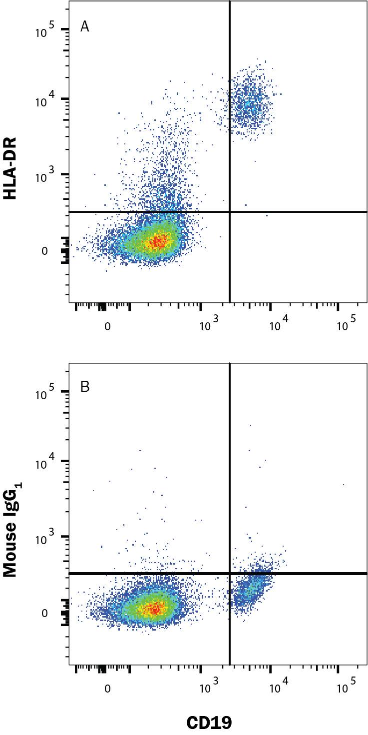 Detection of HLA-DR antibody in Human Blood Lymphocytes antibody by Flow Cytometry.