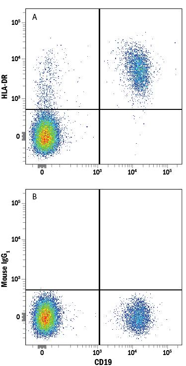 Detection of HLA-DR antibody in Human PBMCs antibody by Flow Cytometry.