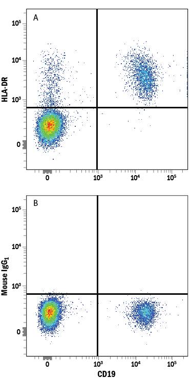 Detection of HLA-DR antibody in Human PBMCs antibody by Flow Cytometry.