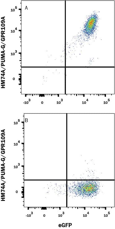 Detection of HM74A/PUMA-G/GPR109A antibody in HEK293 Human Cell Line Transfected with Human HM74A/PUMA-G/GPR109A and eGFP antibody by Flow Cytometry.