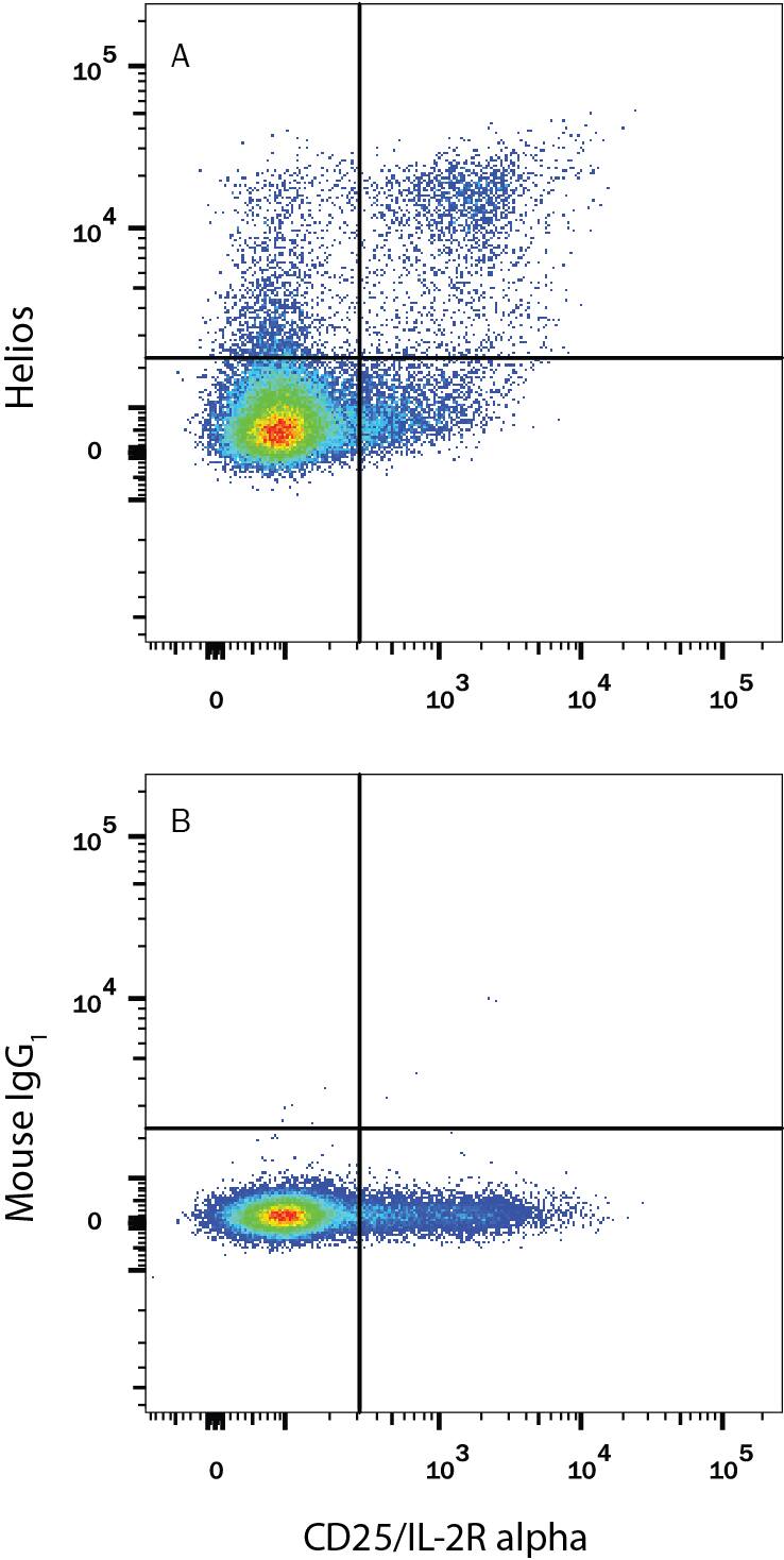 Detection of Helios antibody in Human PBMCs Stimulated to Induce Tregs antibody by Flow Cytometry.