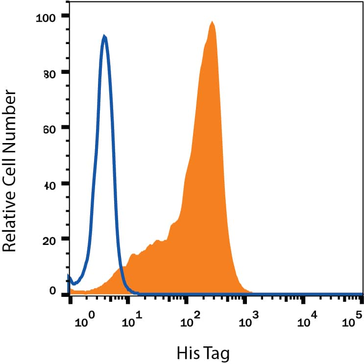 Detection of His Tag in HEK293 Human Cell Line Transfected with His-tagged Proteins by Flow Cytometry. Detection of His Tag antibody in HEK293 Human Cell Line Transfected with His-tagged Proteins antibody by Flow Cytometry.