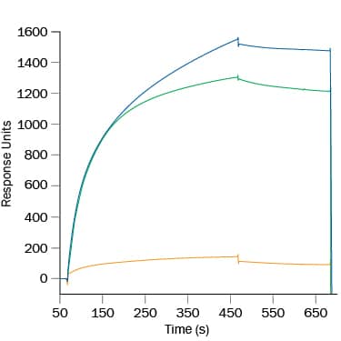ICOS binding to B7-H2 blocked by Human ICOS Antibody.