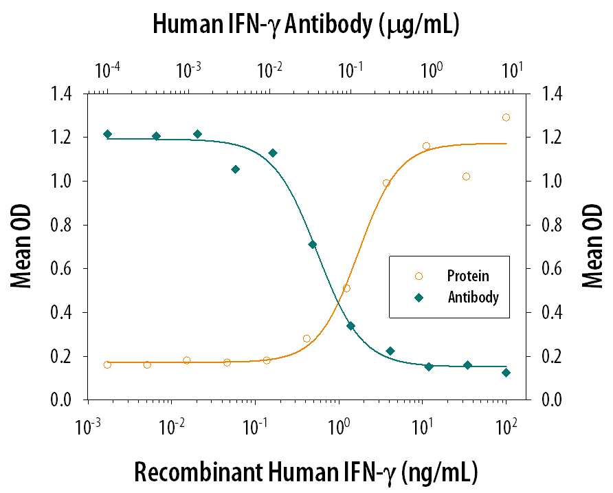 IFN-gamma  Inhibition of EMCV-induced Cytopathy and Neutralization by Human IFN-gamma  Antibody.