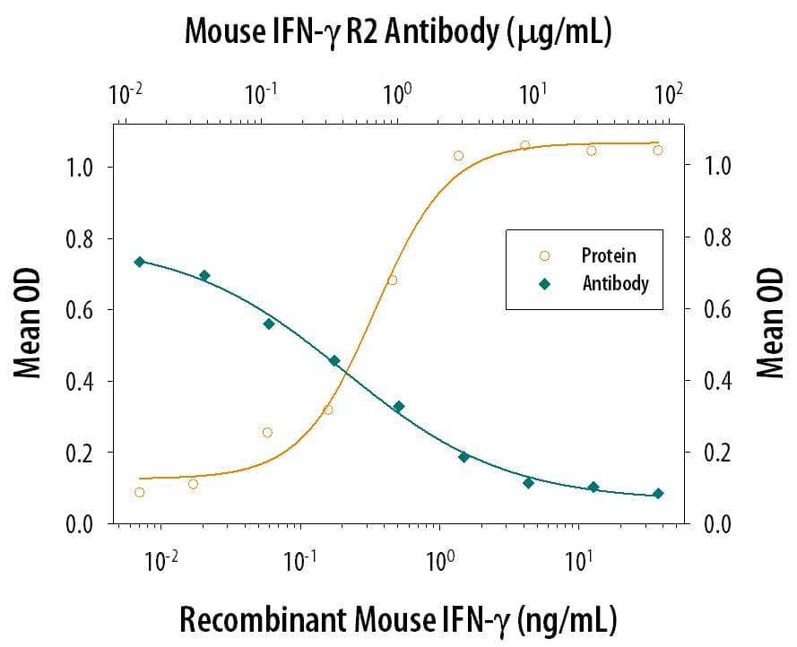 IFN‑ gamma Inhibition of EMCV-induced Cytopathy and Neutralization by Mouse IFN‑ gamma R2 Antibody.