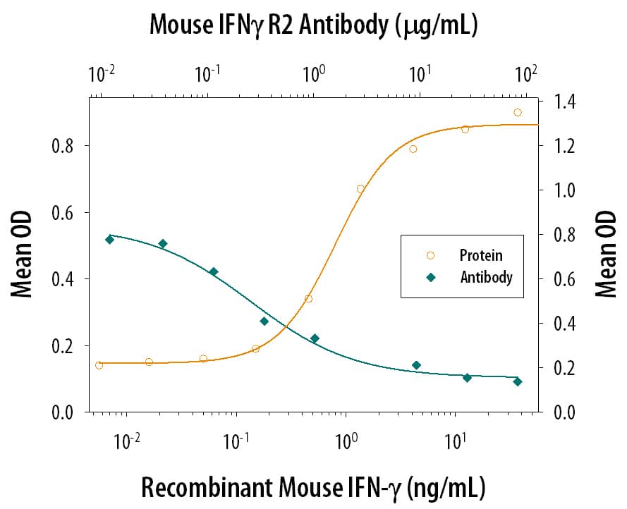 IFN‑ gamma Inhibition of EMCV-induced Cytopathy and Neutralization by Mouse IFN‑ gamma R2 Antibody.