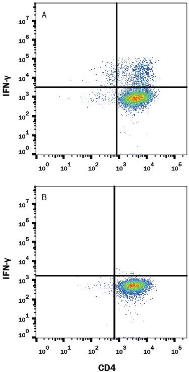 Detection of IFN-? antibody in Mouse Splenocytes Stimulated to Induce Th1 cells antibody by Flow Cytometry.