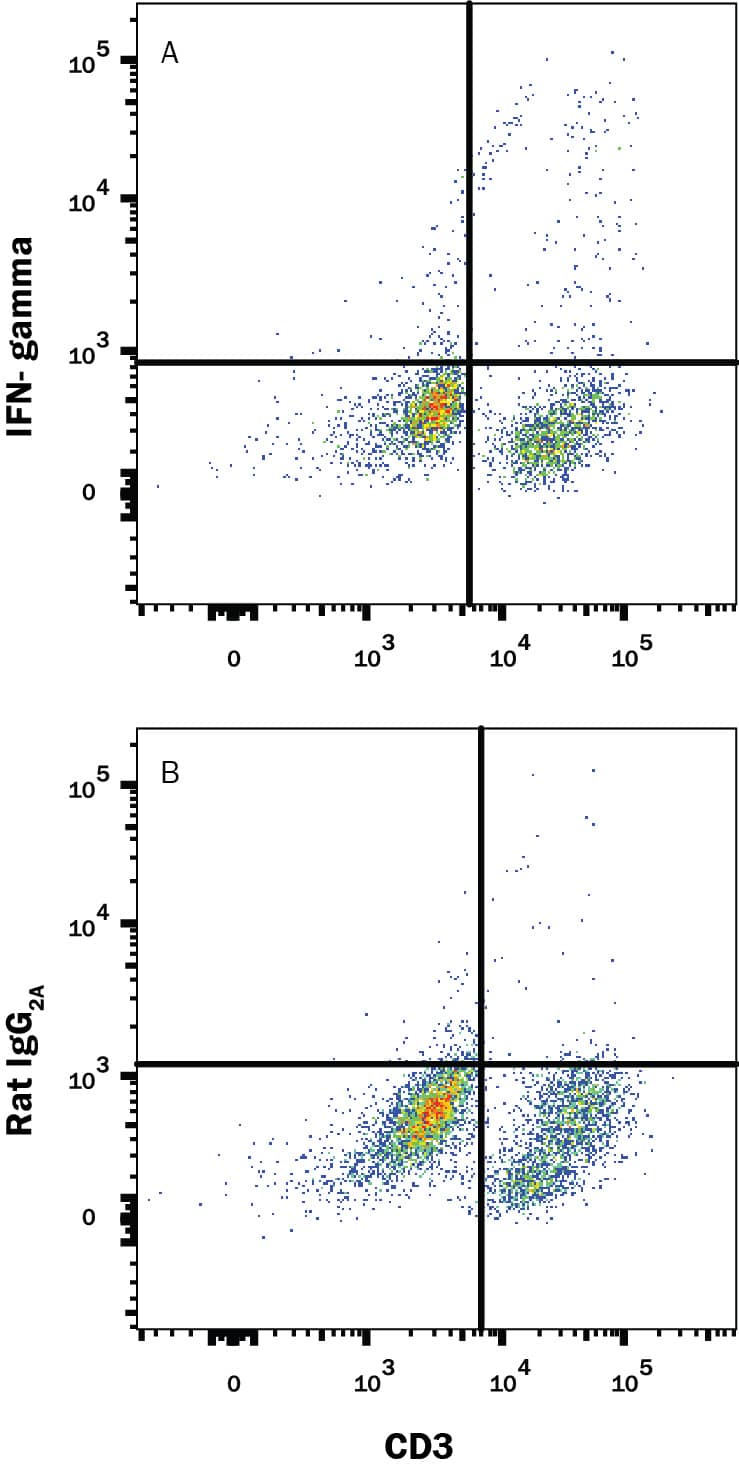 Detection of IFN-? antibody in Mouse Splenocytes antibody by Flow Cytometry.
