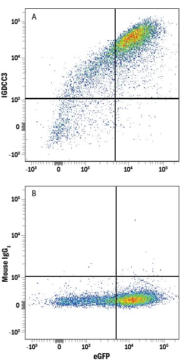 Detection of IGDCC3 antibody in HEK293 Human Cell Line Transfected with Human IGDCC3 and eGFP antibody by Flow Cytometry.