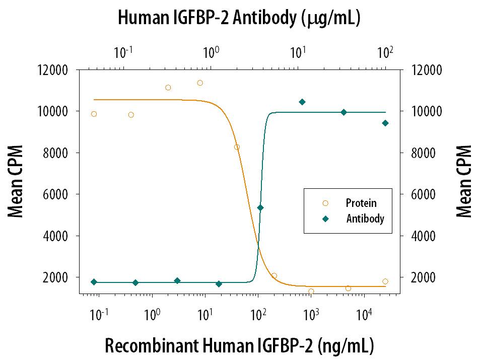 IGFBP‑2 Inhibition of IGF‑II-dependent Cell Proliferation and Neutralization by Human IGFBP‑2 Antibody.