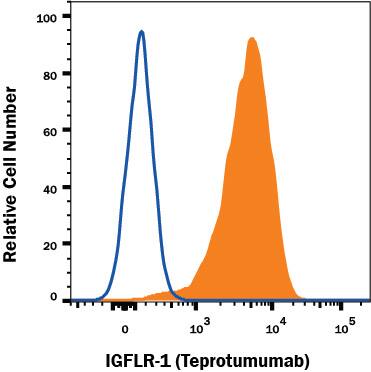 Detection of IGF-I R/IGF1R antibody in MCF-7 human breast adenocarcinoma cell line antibody by Flow Cytometry.