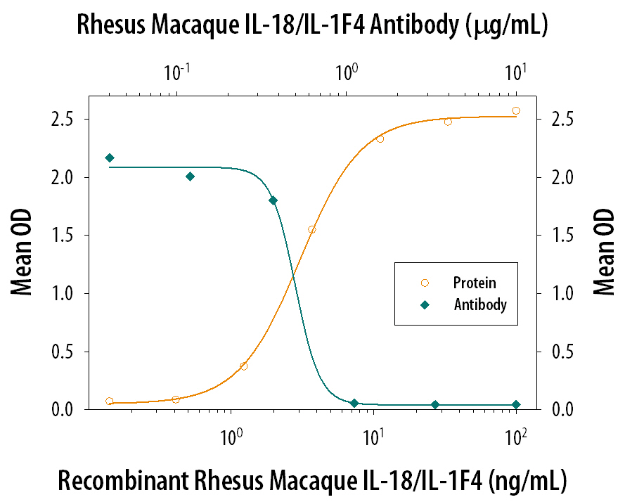 IFN‑ gamma Secretion Induced by IL‑18/IL‑1F4 and Neutralization by Primate IL‑18/IL‑1F4 Antibody.