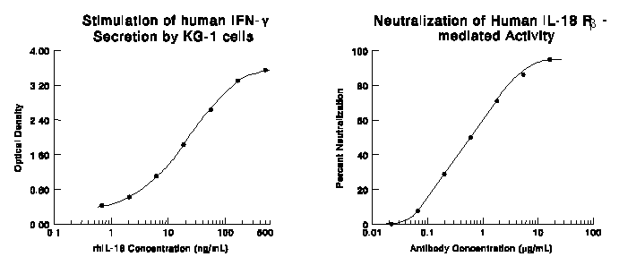 IFN-gamma  secretion Induced by IL-18/IL1F4 and Neutralization by Human IL-18 R beta/IL-1 R7 Antibody.