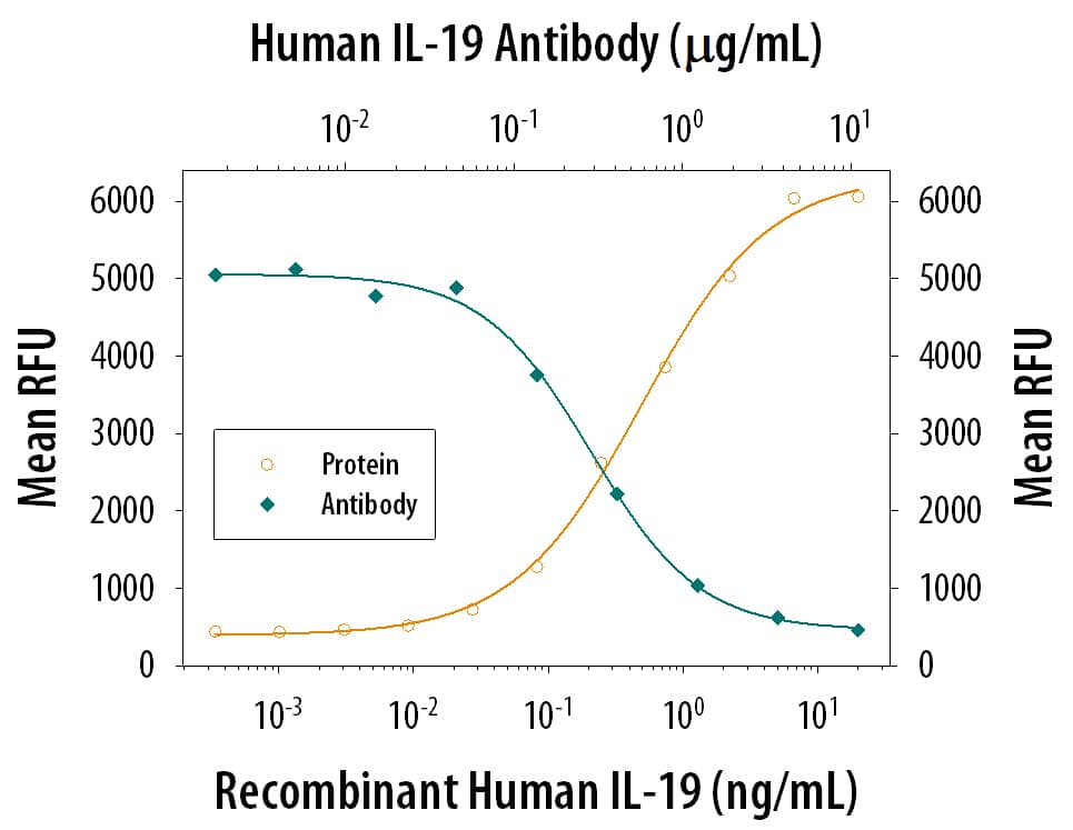 Cell Proliferation Induced by IL‑19 and Neutralization by Human IL‑19 Antibody.