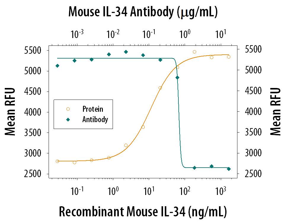 Cell Proliferation Induced by IL‑34 and Neutralization by Mouse IL‑34 Antibody.